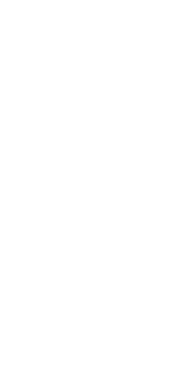 Services 16 shape