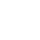 ser icon2
